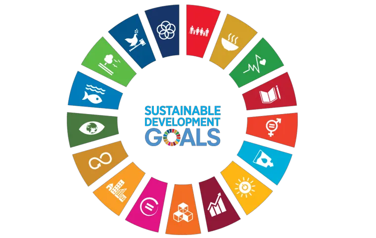 sdg_-_wheel_-_smaller_2-1